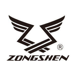 Motore ZS XP680 - Albero verticale 1