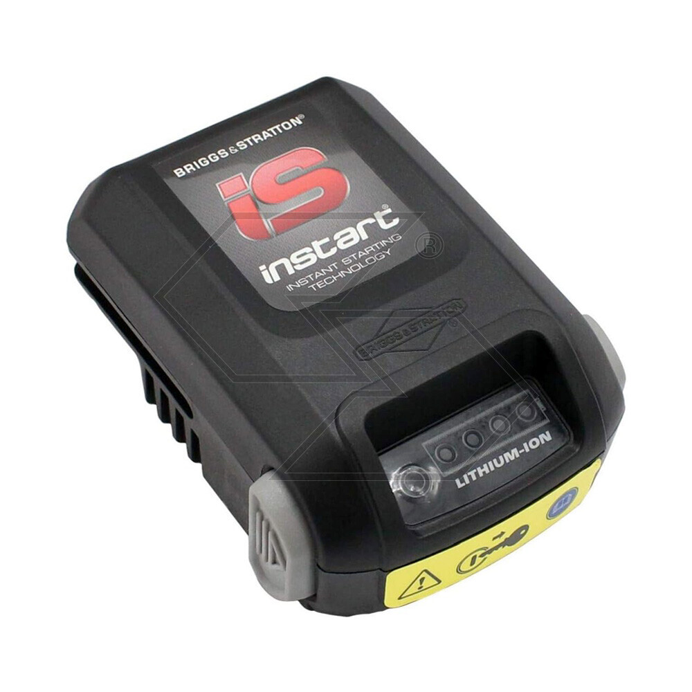 Batteria Briggs&Stratton Batteria Briggs&Stratton