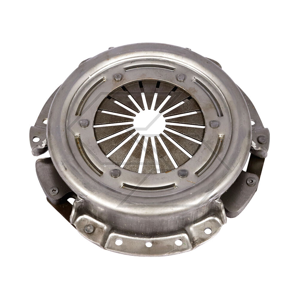 Friz.monod.lamell.adriatica / Bertol.