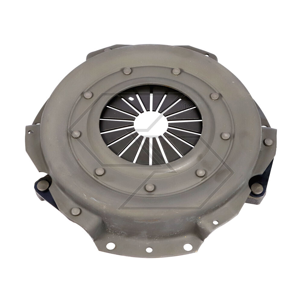 Friz.monod.lamell.adriat.tratt.845