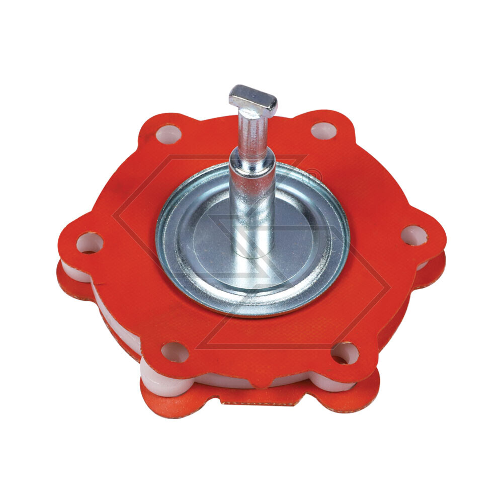 Membrane Kit Ric.xpompe Bcd-ac-delc