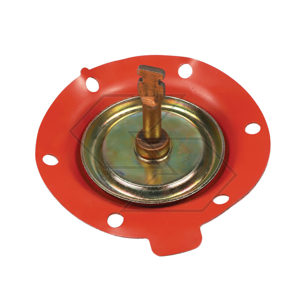 Membranes X Alim. Pumps B.C. 4802006