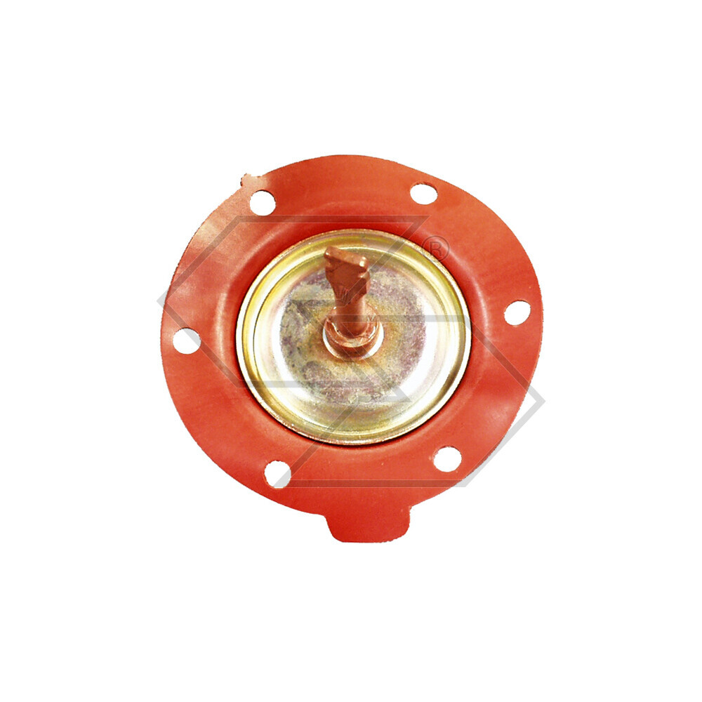Membranes X Pumps Alim.cav 7971 Membranes X Pumps Alim.cav 7971