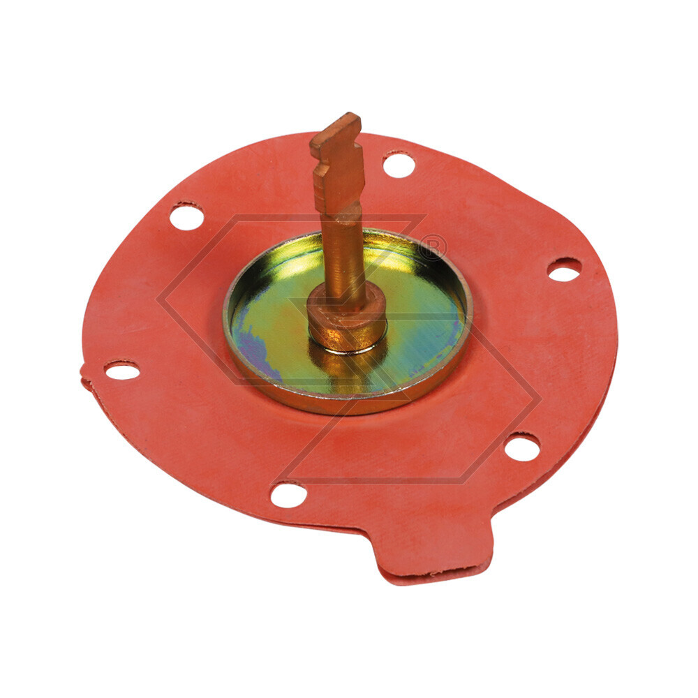 Membranes X Pumps Alim.cav 7971 Membranes X Pumps Alim.cav 7971