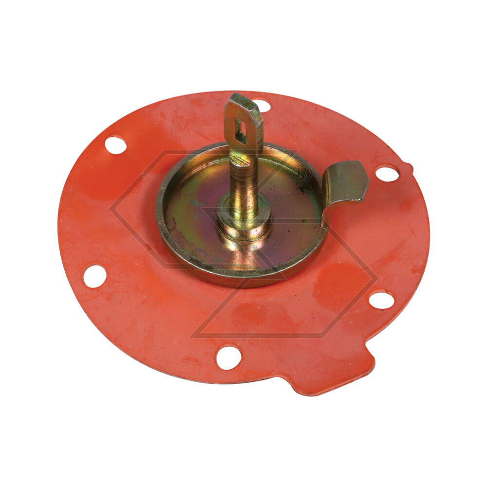 Membranes X Pumps Alim.cav 7179