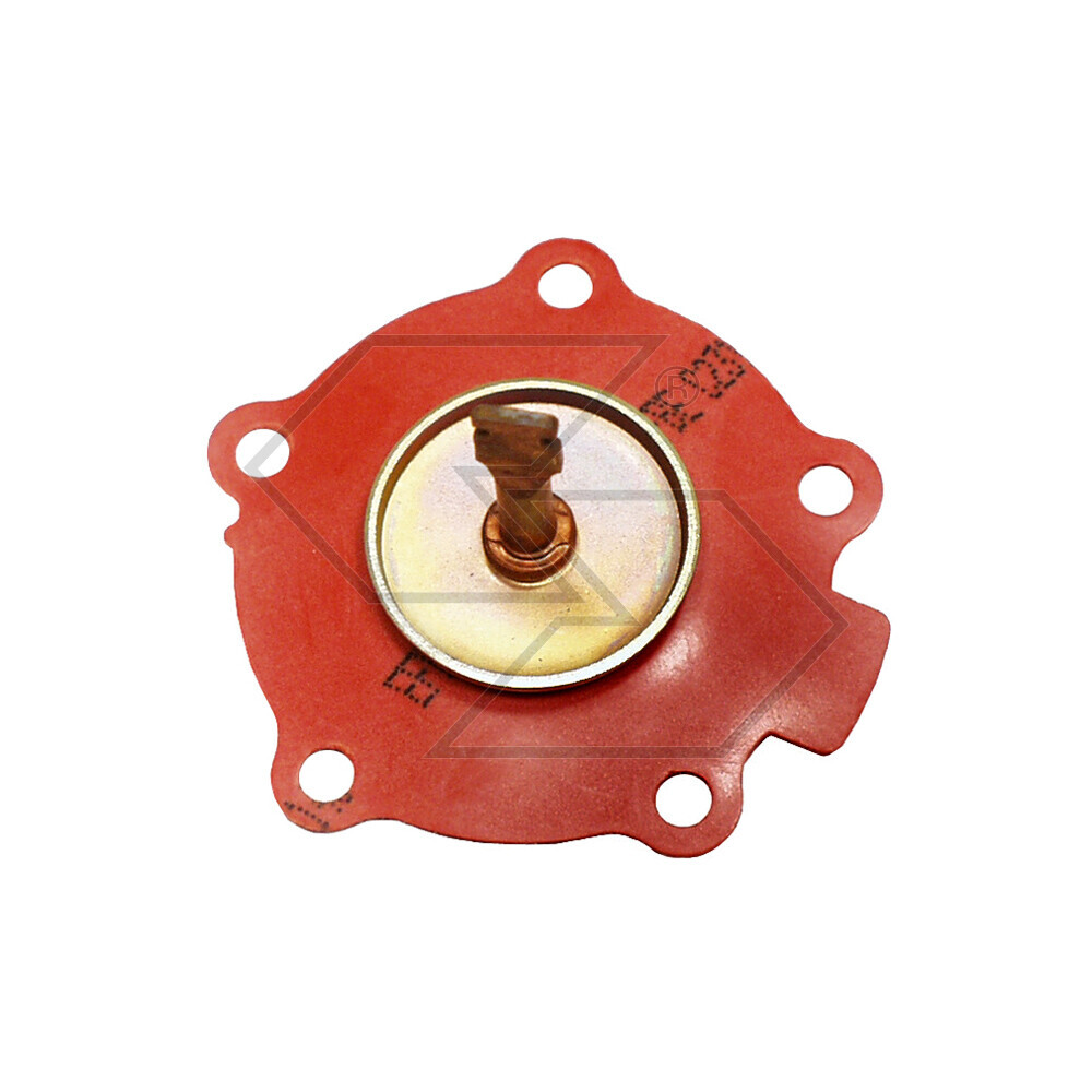 Membranes X Pumps Alim.cav 7950 Membranes X Pumps Alim.cav 7950