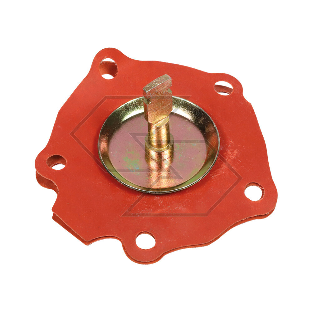 Membranes X Pumps Alim.cav 7950