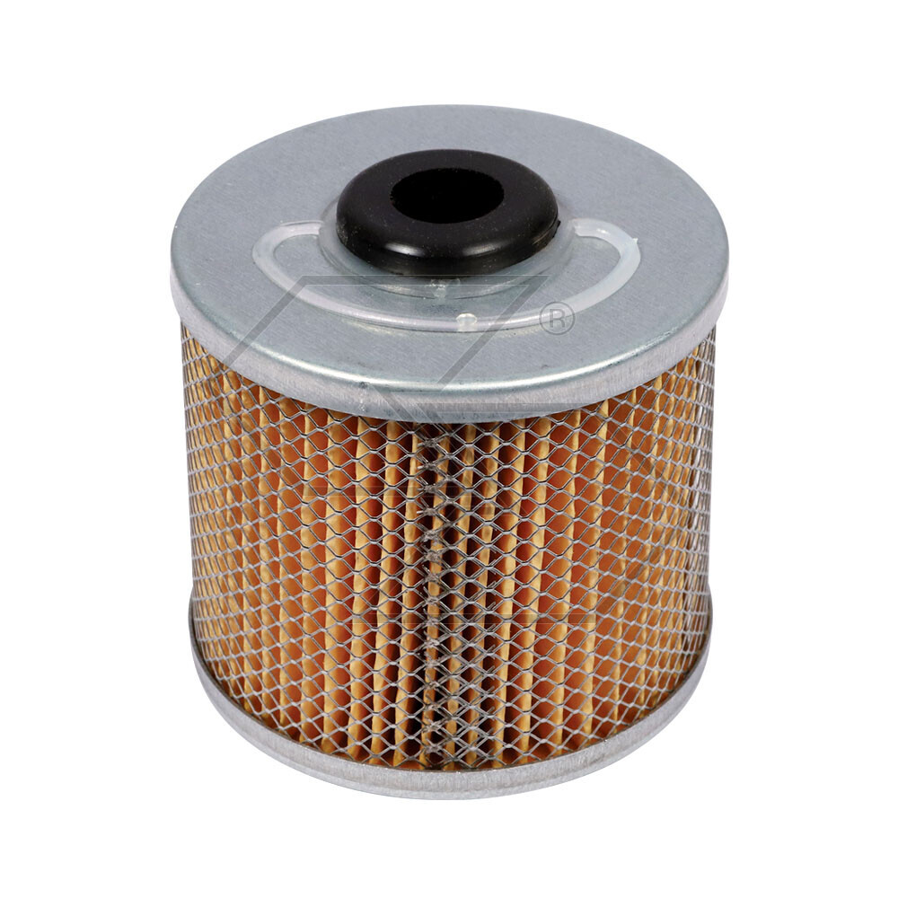 Fuel Filter X Landini-same