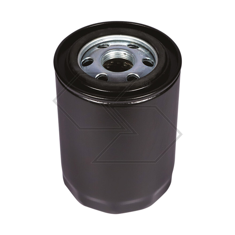 Oil Filter X Case - Massey Ferg.