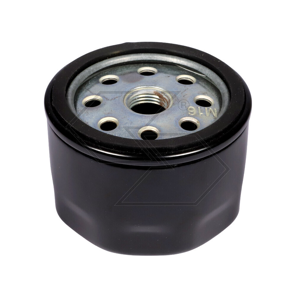 Fuel Filter For Carraro-rugger.