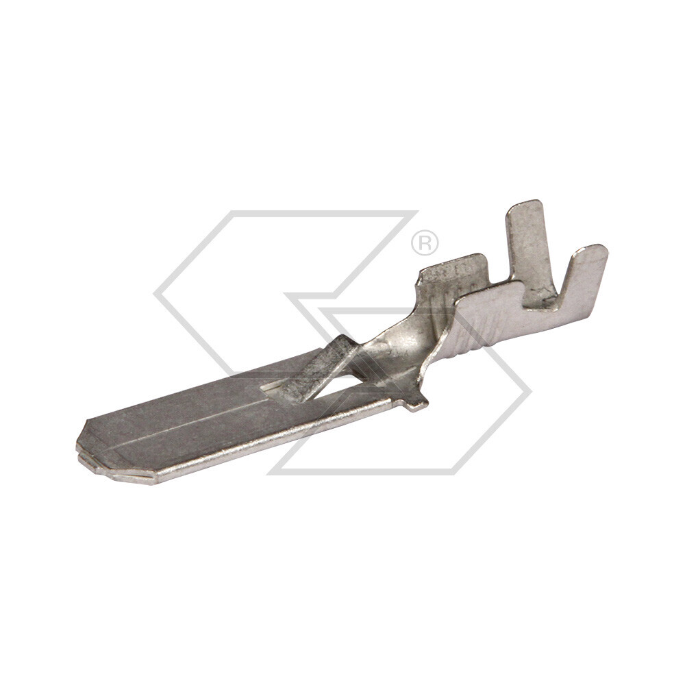 CAPIC.FAST.MAS.ANTISF.S.1/2,5
