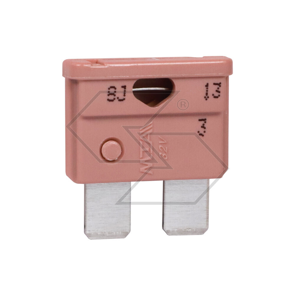 Uni 3a Violet Lamellar Fuse