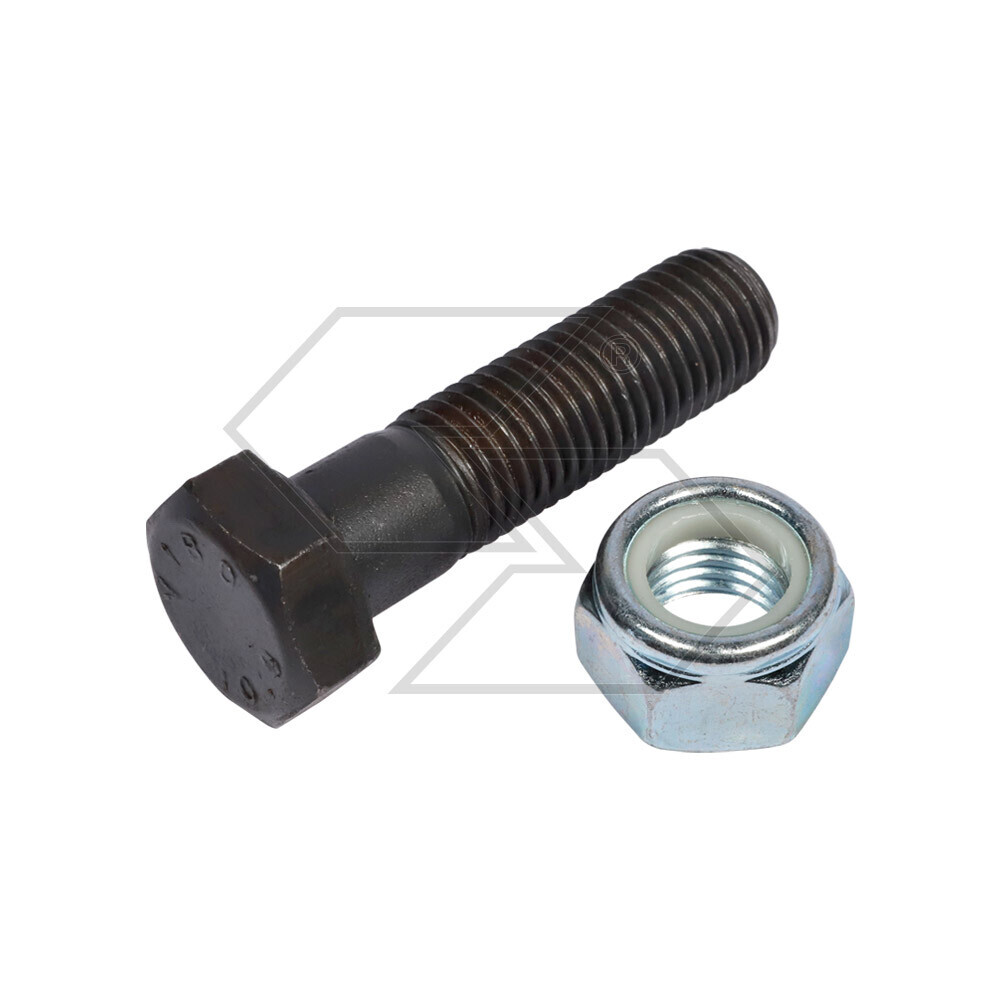 Bolt 10.9 M12x1,75x55