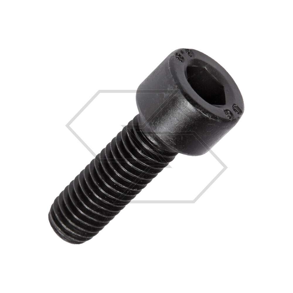 Screw For Fixing Flanges M8x25