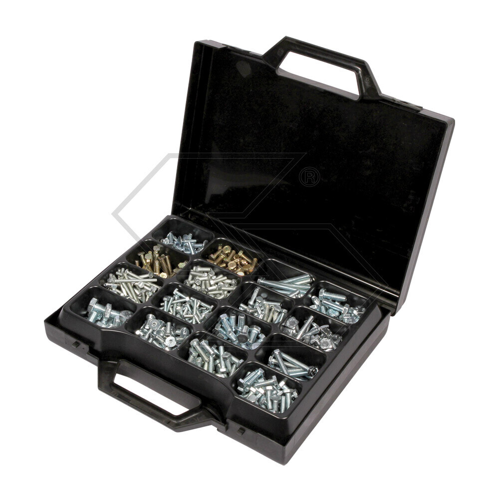 Kit assortimento viti e dadi zincati per fanaleria 800 pezzi Kit assortimento viti e dadi zincati per fanaleria 800 pezzi