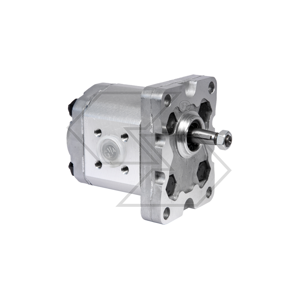 Gear Pump G.1 P01 48 Rot Dx