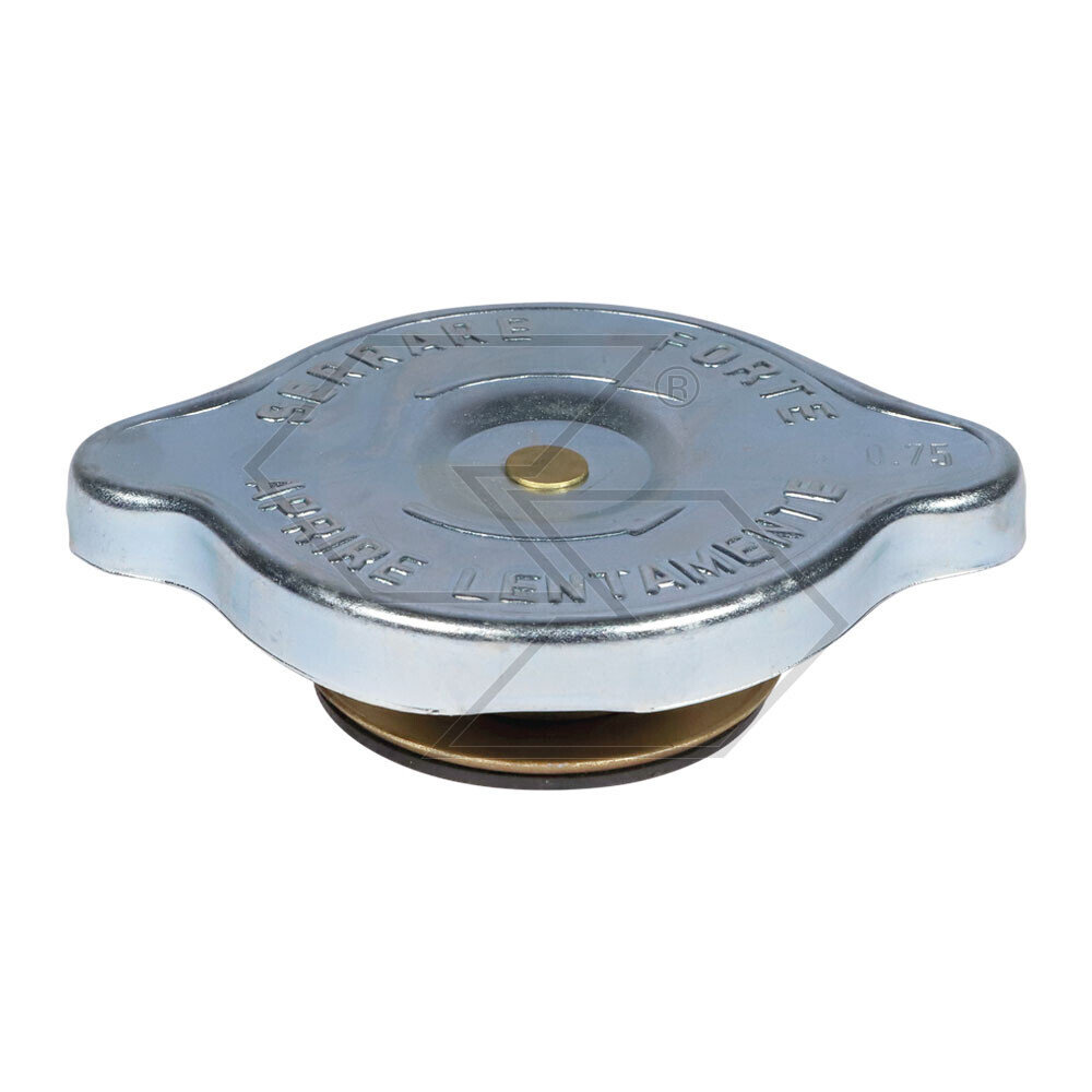 Cap Radiat.fiat 4959324-76027863