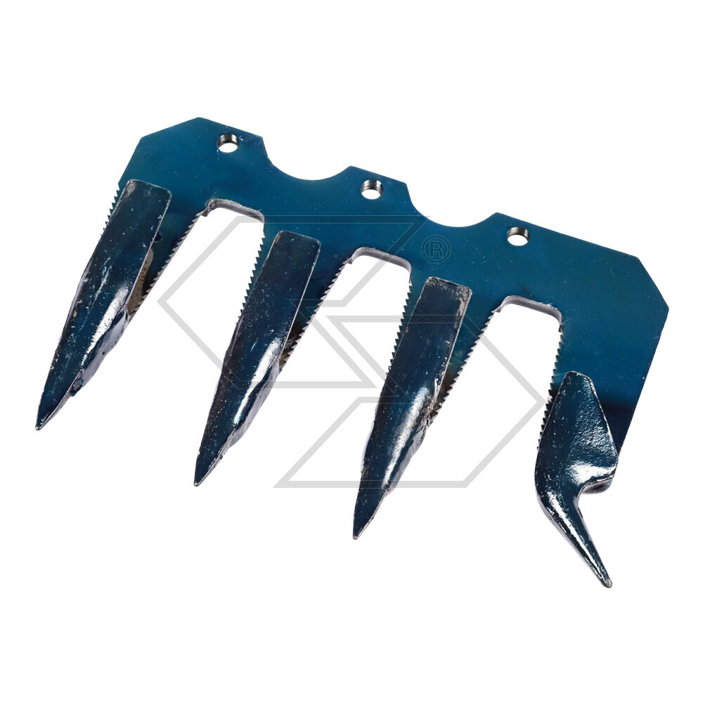 First Complete Tooth Section