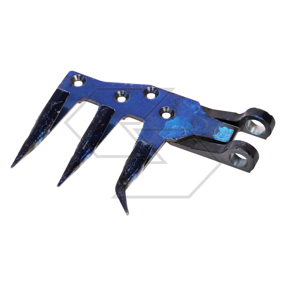 PRIMA SEZ.DENTE COMPL.PRIMA SERIE