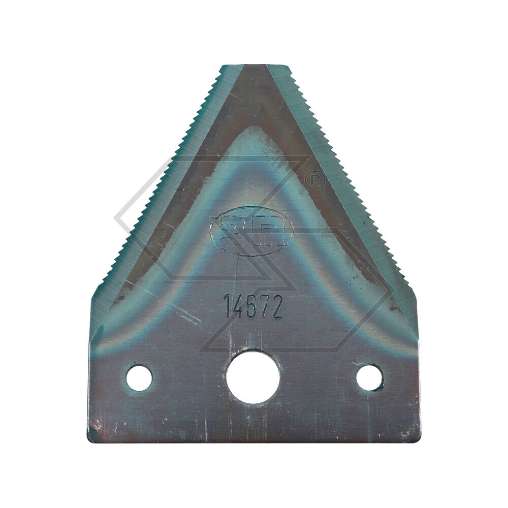 Section Of The Blade Rig.sv.sotto 3f.1467 Section Of The Blade Rig.sv.sotto 3f.1467