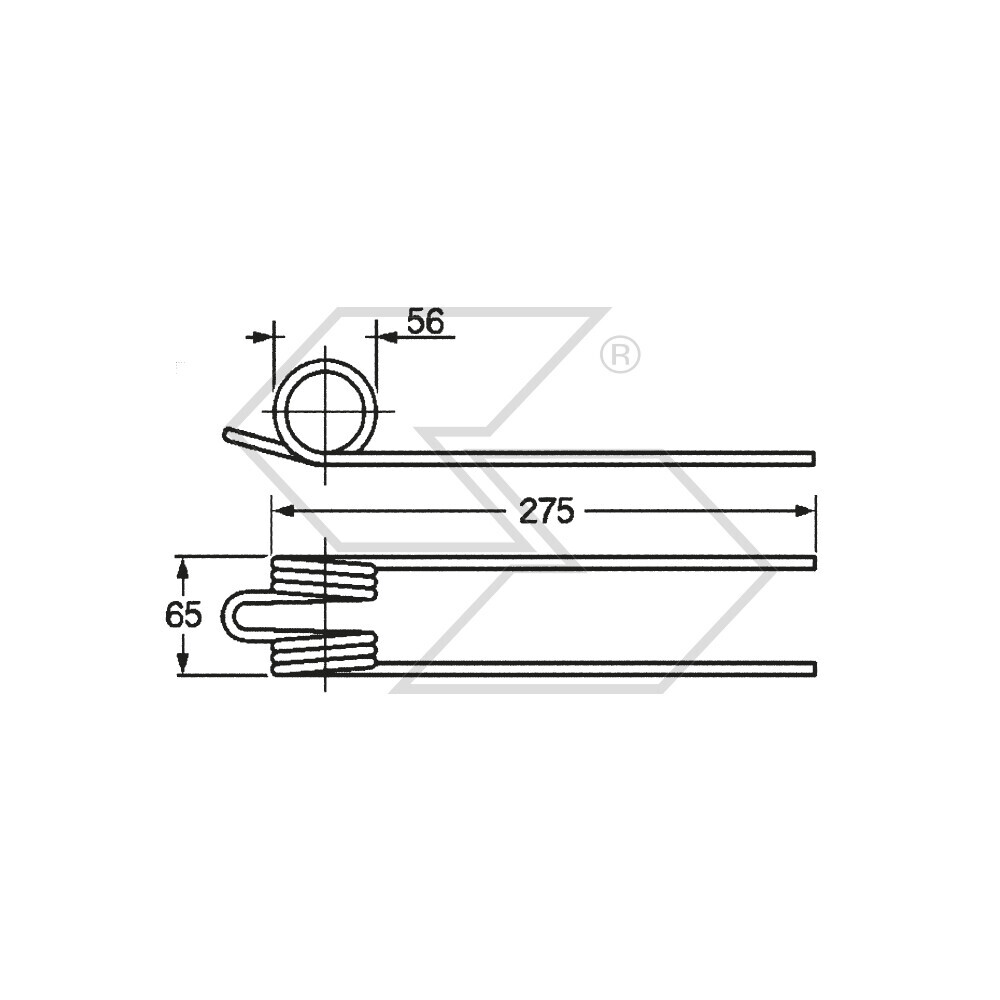 Spring Rangh.bittante Mario