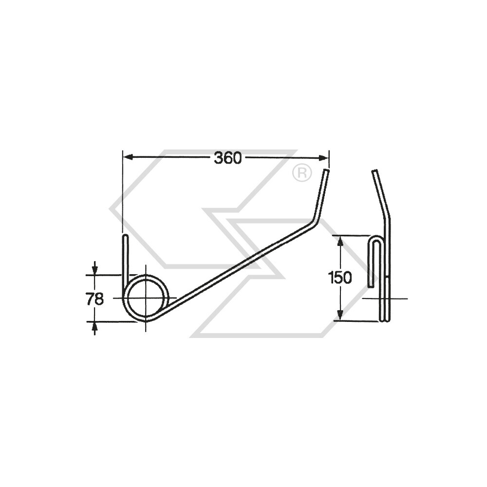 Seminat.striglia Springs. Gasp.an/co