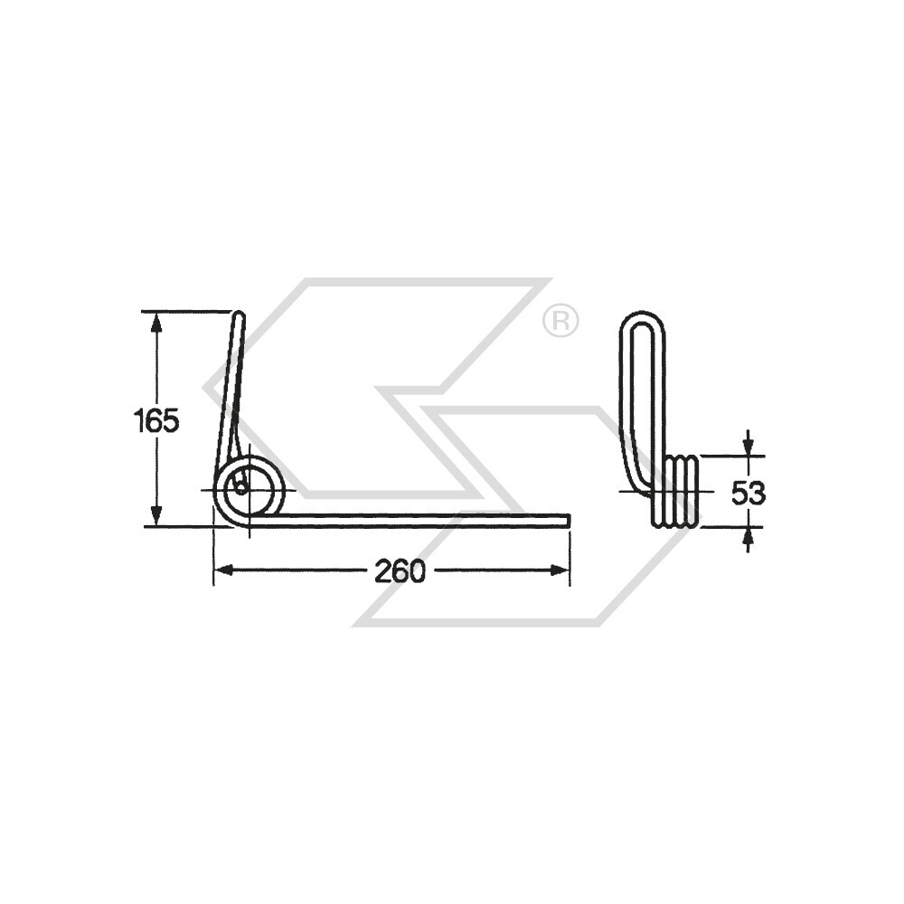 Seminat.striglia Springs. Marzia Ant Seminat.striglia Springs. Marzia Ant