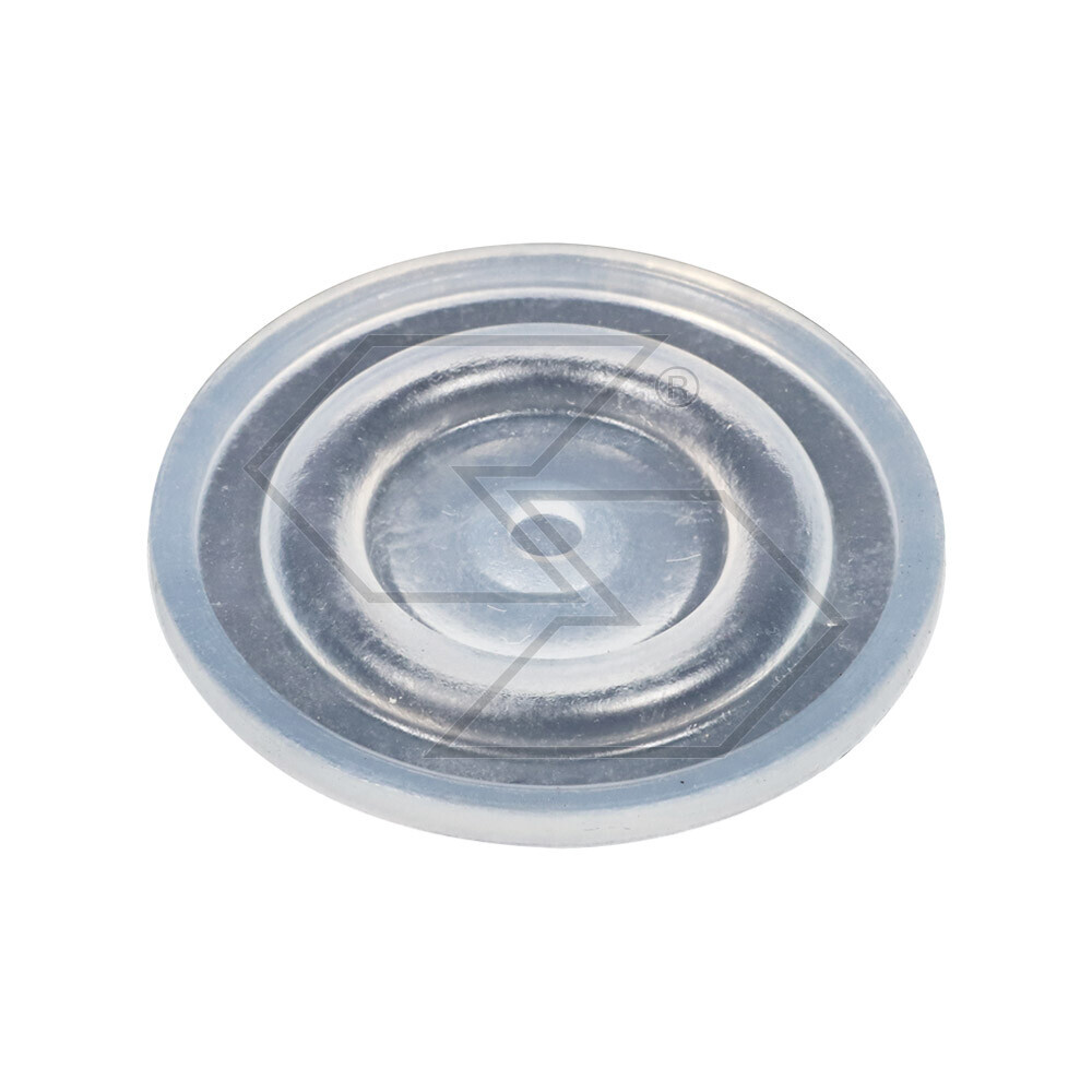 Main Membrane Main Membrane