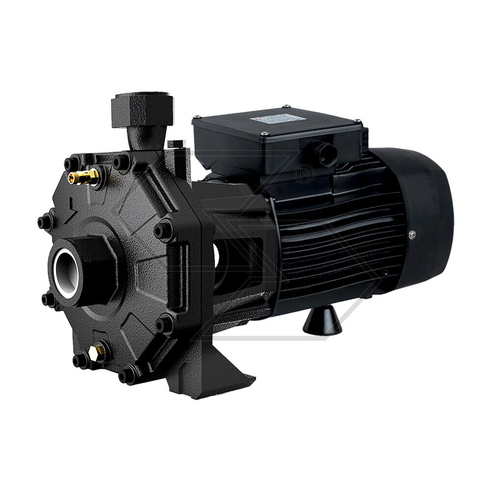 ELETTROPOMPA NEW TWIN15-T BIGIRANTE TRIFASE 27E GLONG ELETTROPOMPA NEW TWIN15-T BIGIRANTE TRIFASE 27E GLONG