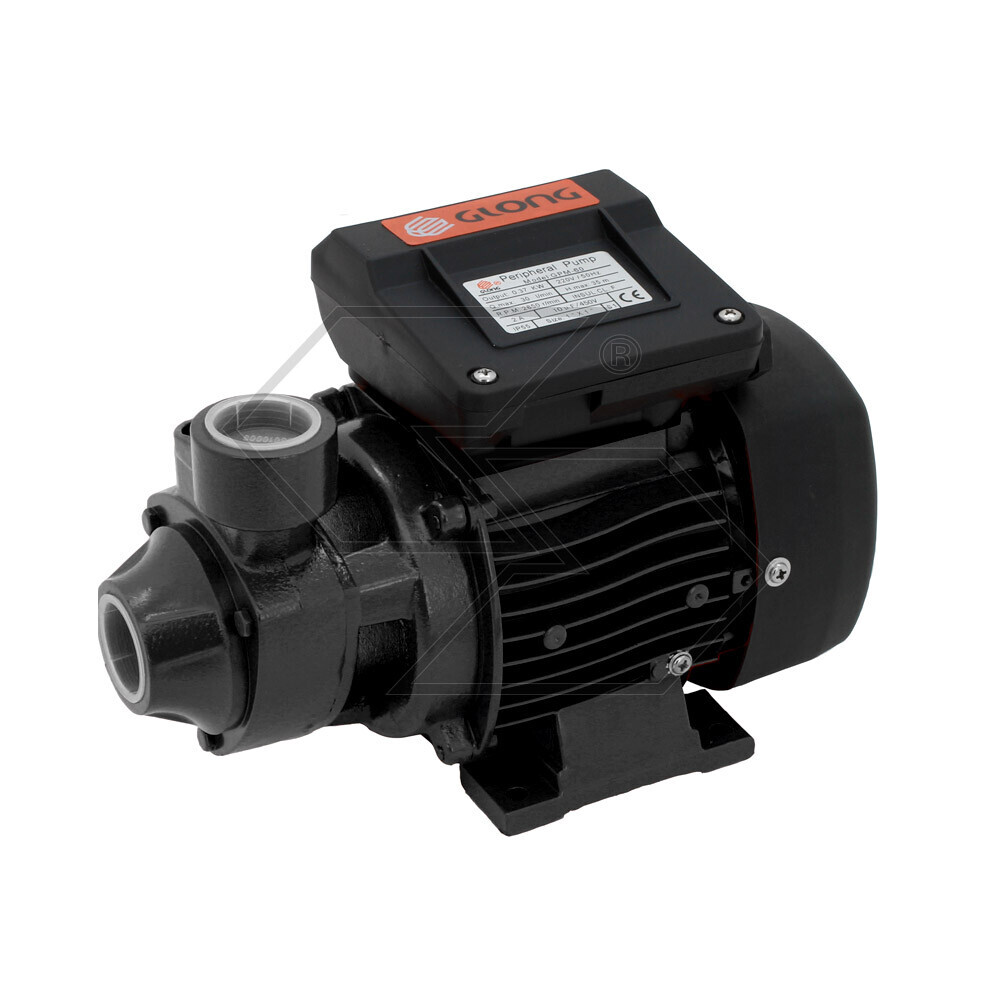 ELETTROPOMPA GPM60- PERIFERICA GLONG