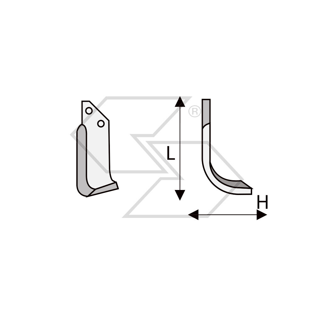 Hoes X Bcs 705 Paternal'