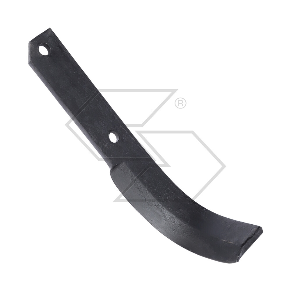 Hoes X Bertolini 307 Short