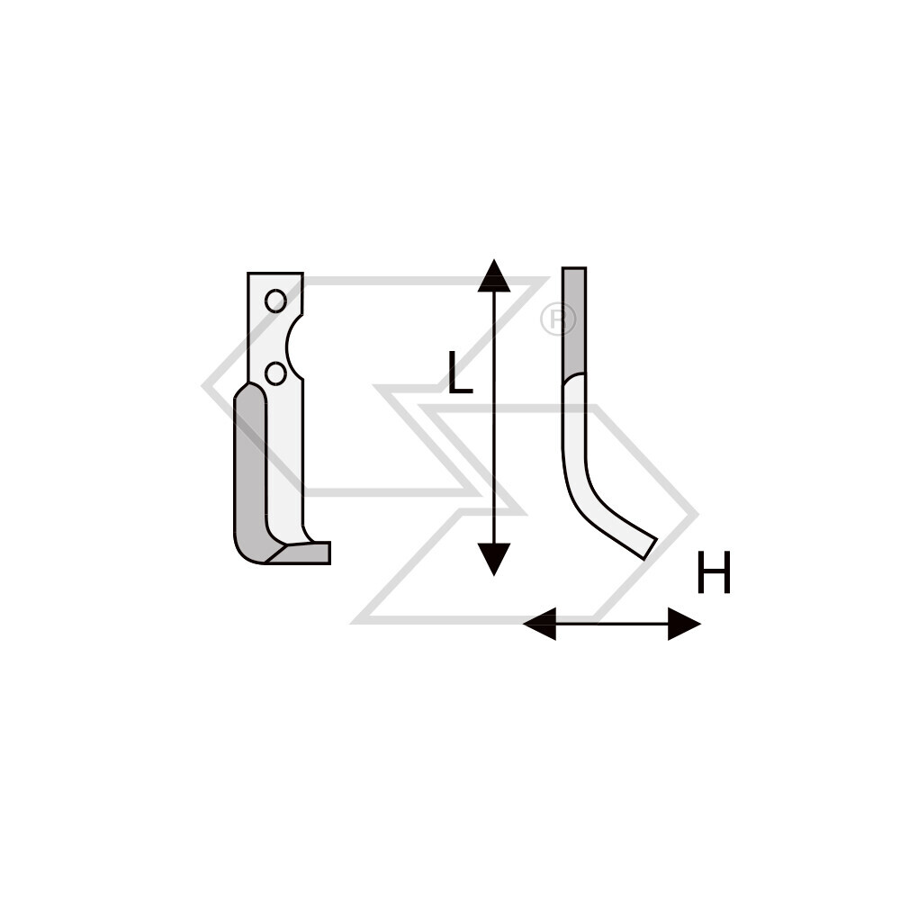 Hoes X Carraro A. Carrarino Hp8
