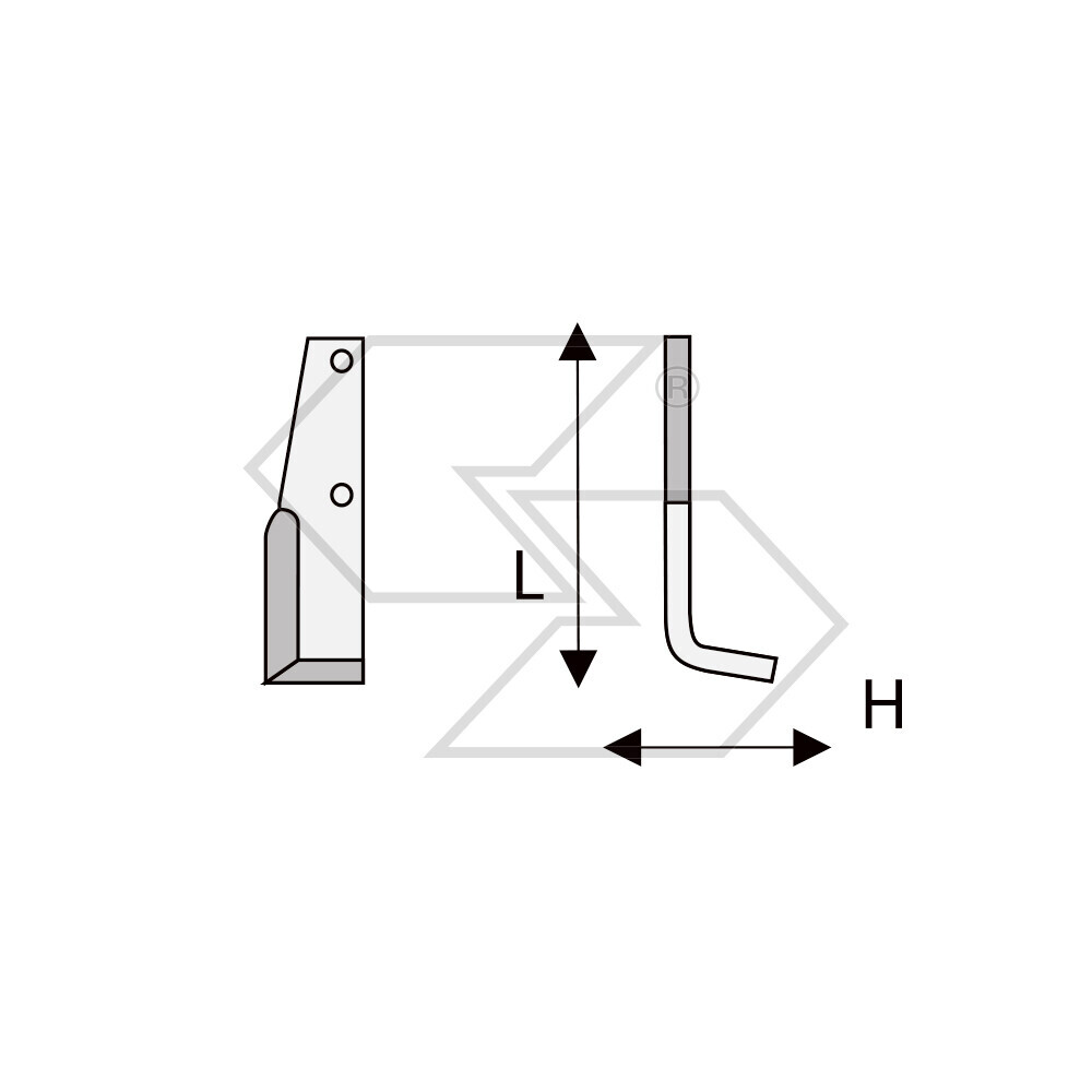 Hoes X Goldoni Cutter 21 Short Hoes X Goldoni Cutter 21 Short