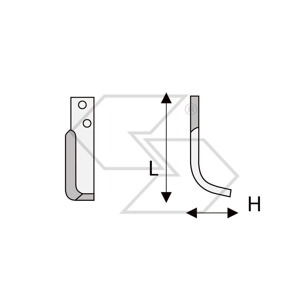 Hoes X Black Kites E/nt519