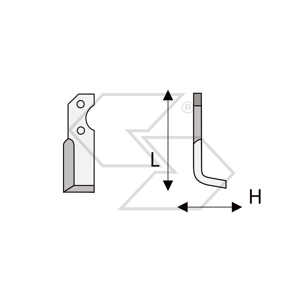 Hoes X Brumi Ds10 Diesel