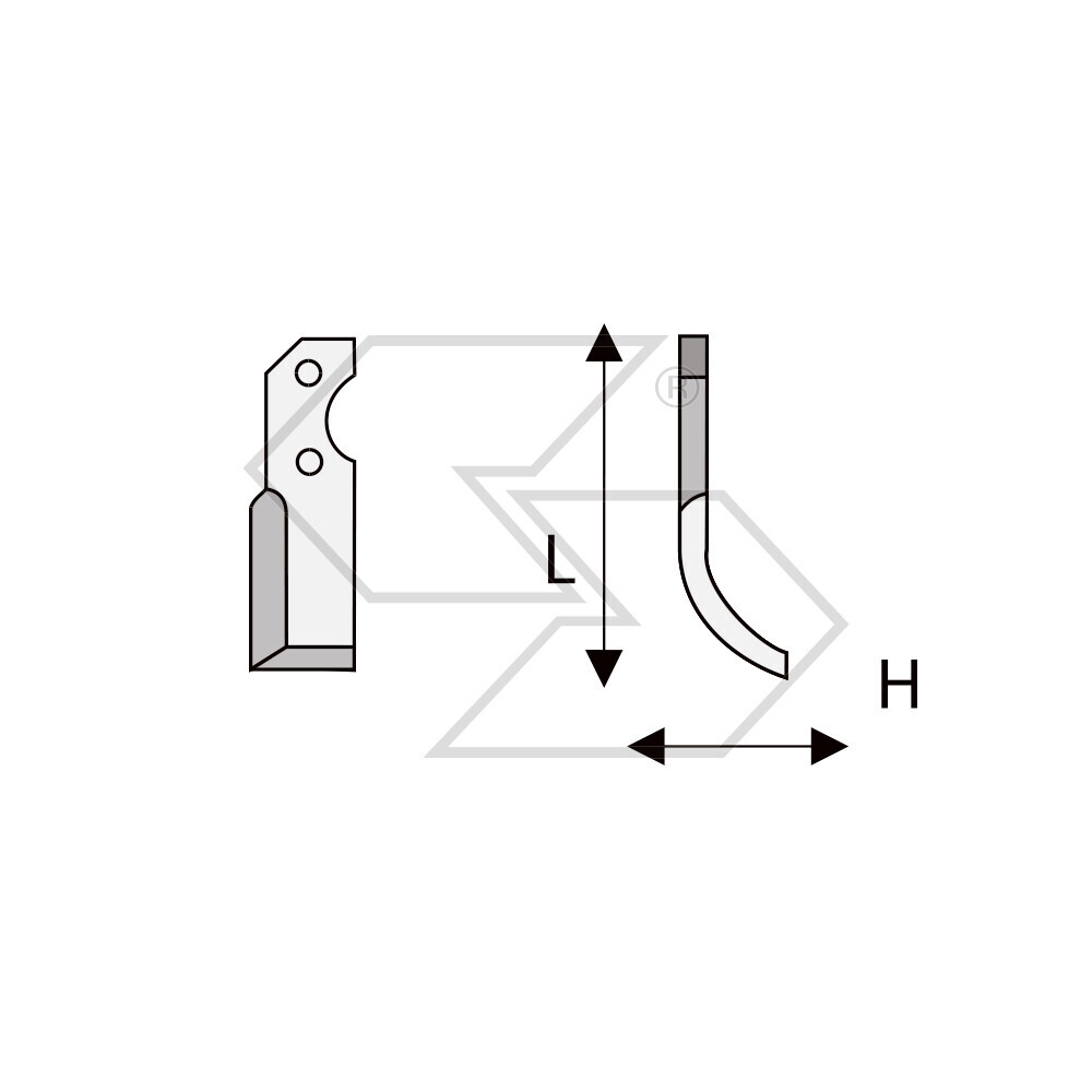 Hoes X Brumi Ds12 Rekord
