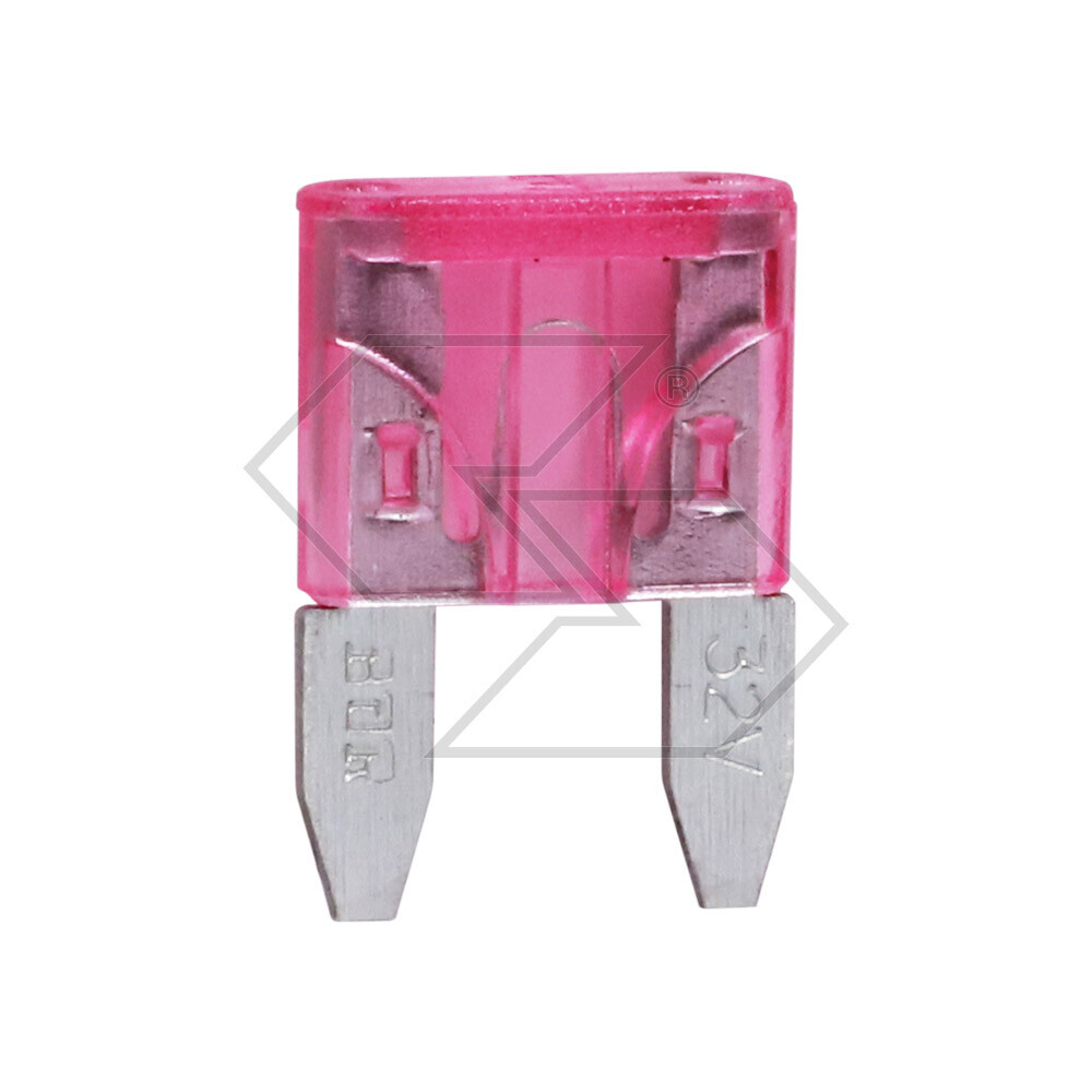 Mini 3a Violett Lamella Fuse Mini 3a Violett Lamella Fuse