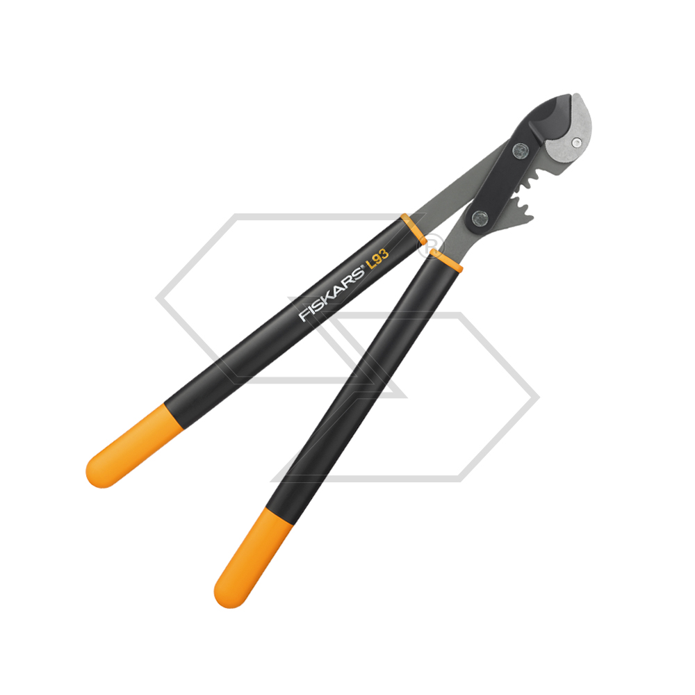 Lopping Off P.g.ste.l93 Cm.64-112380 Lopping Off P.g.ste.l93 Cm.64-112380