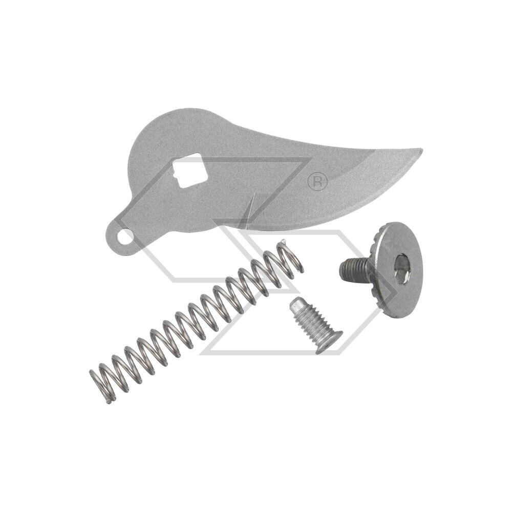 Blade Kit, Spring And Screw P100