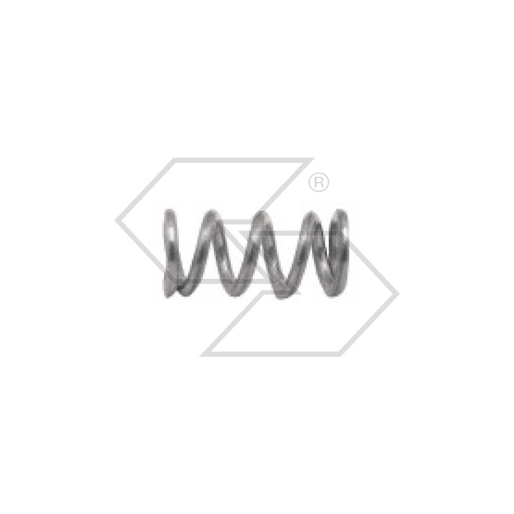 MOLLA VITE CARB.TILLOTSON HT24C-219 MOLLA VITE CARB.TILLOTSON HT24C-219