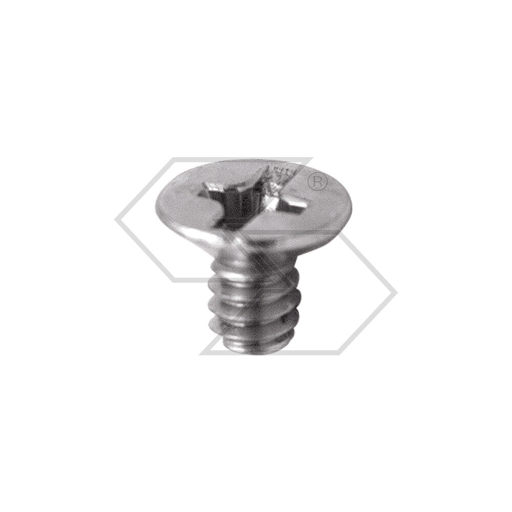 Walbro Rocker Arm Screw 96-156 Walbro Rocker Arm Screw 96-156