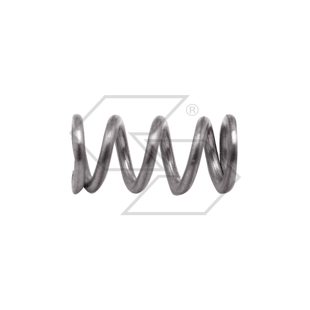 Spring Screw Carb. Walbro 98-160-7 Spring Screw Carb. Walbro 98-160-7