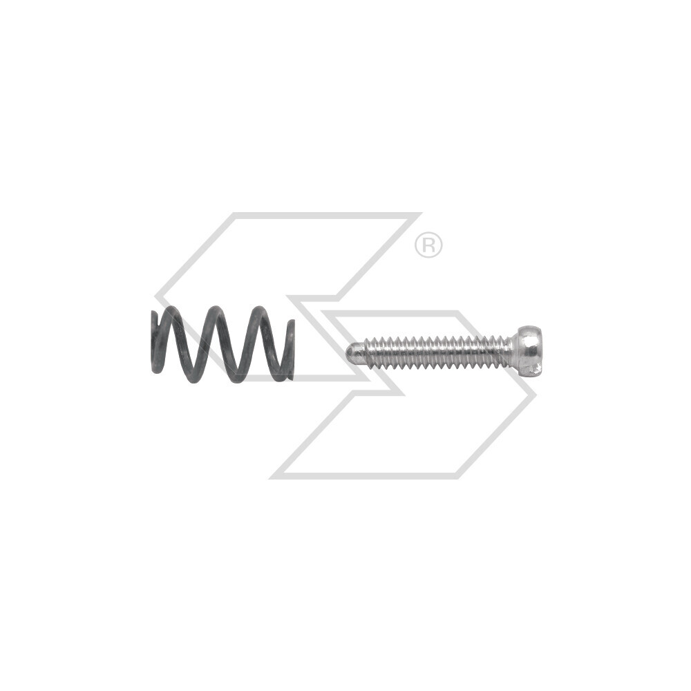 Walbro Minimum Screw Spring Wb-96-612 Walbro Minimum Screw Spring Wb-96-612