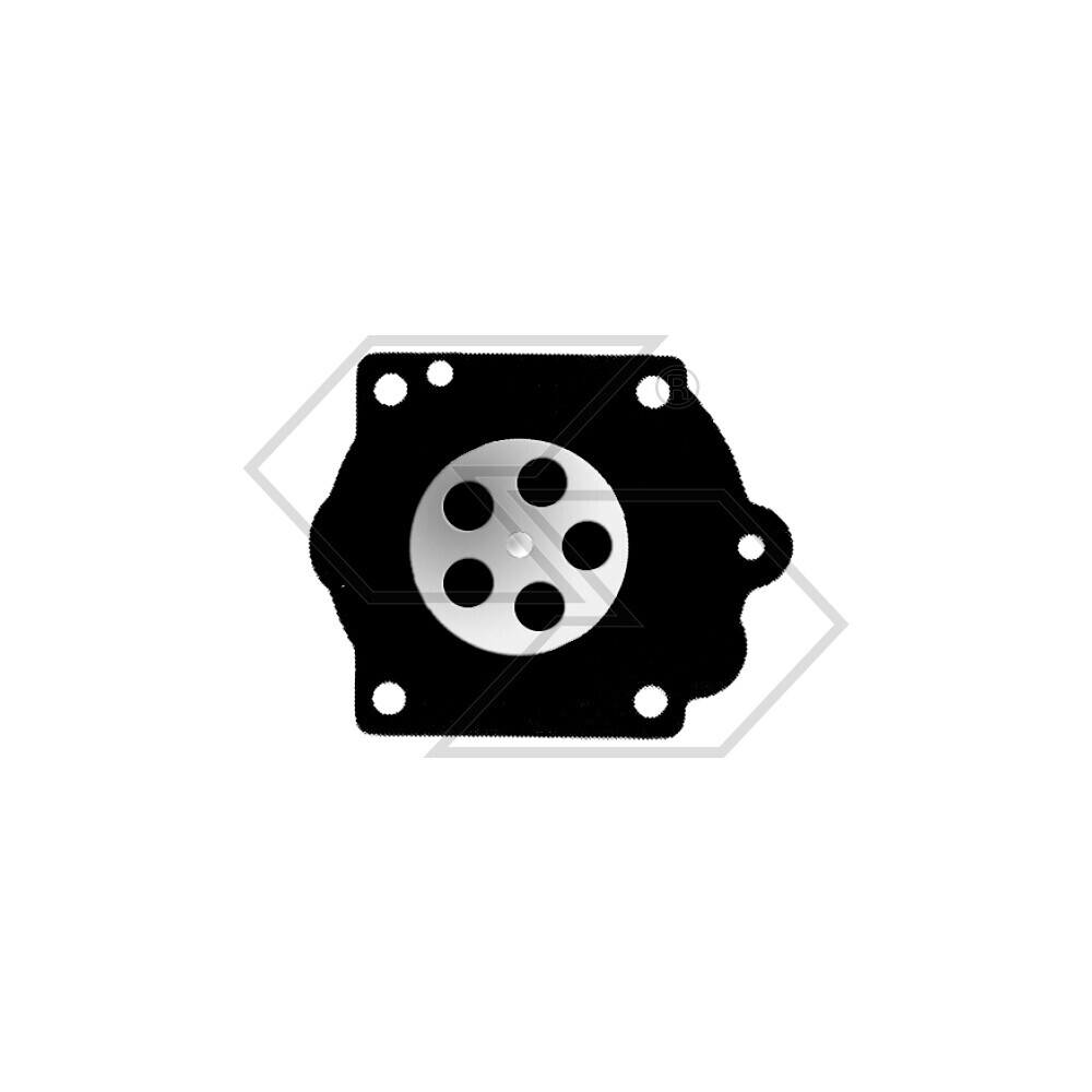 Membr.princ.walbr.ws 95-546-8 S / Agg