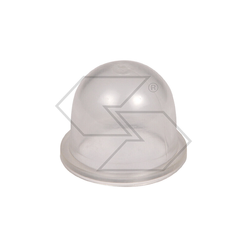 Primer Zama 0057003 - C1q