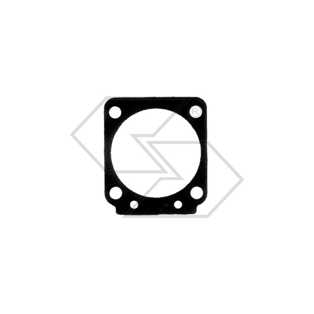Linings. Membr.princ.zama 0016021 Linings. Membr.princ.zama 0016021