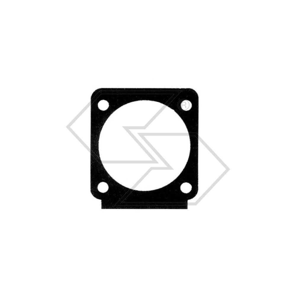 Linings. Membr.princ.zama 0016074 Linings. Membr.princ.zama 0016074