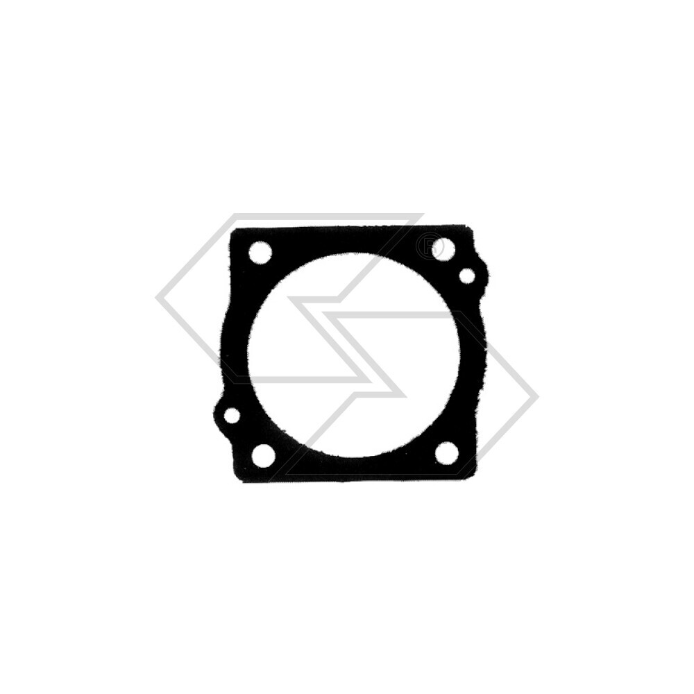 Linings. Membr.princ.zama 0016027 Linings. Membr.princ.zama 0016027