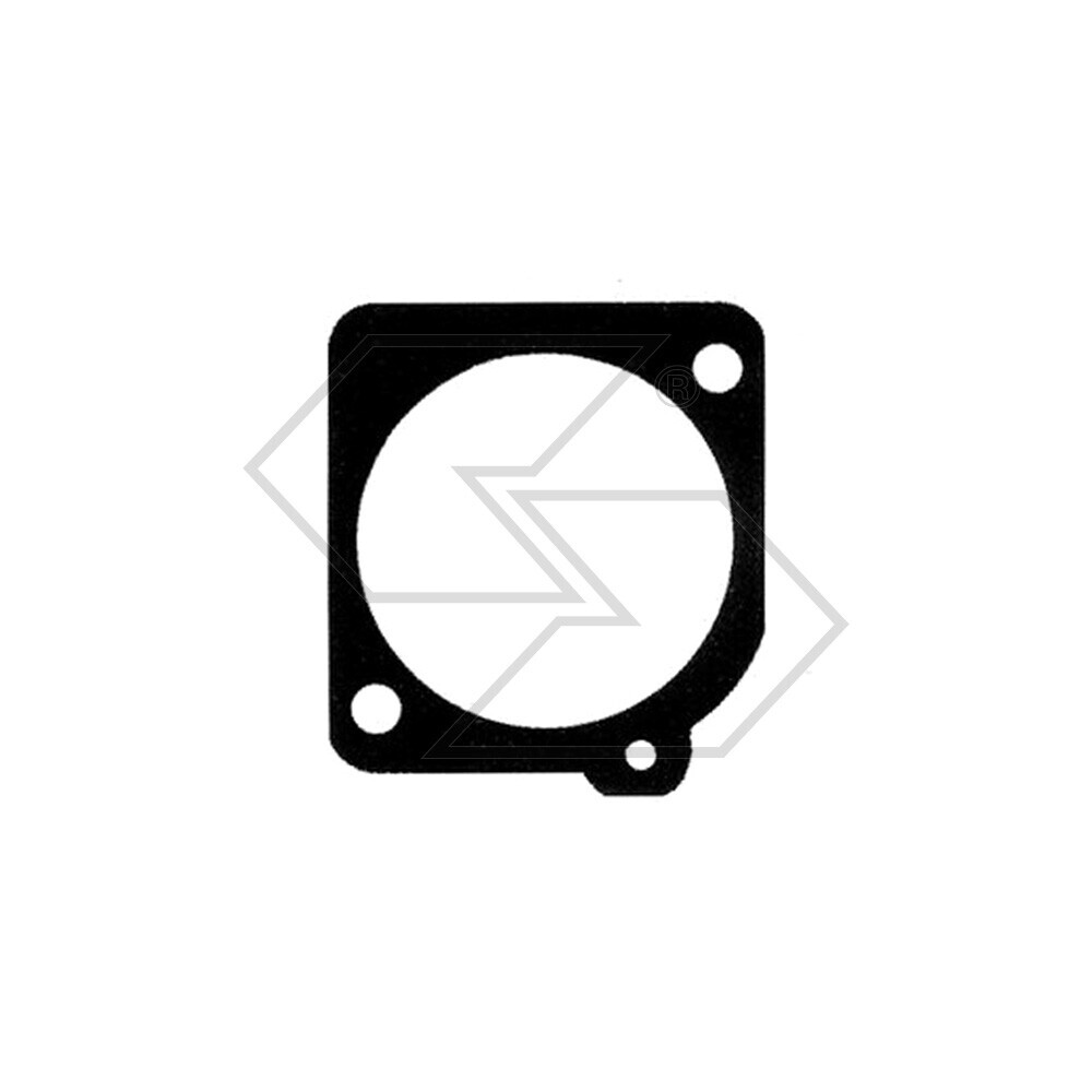 Linings. Membr.princ.zama 0016076